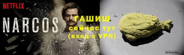 PSILOCYBIN Алзамай
