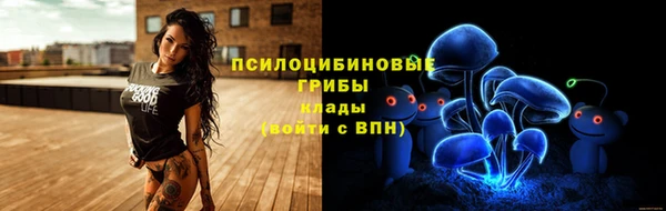 экстази Алексин