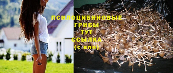 экстази Алексин