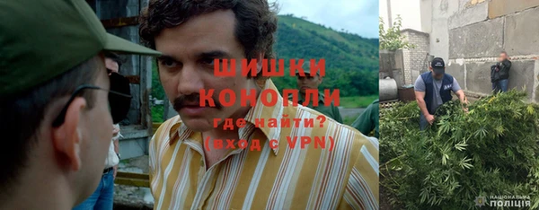 PSILOCYBIN Алзамай