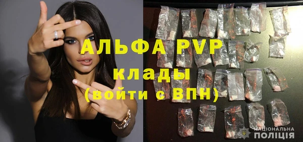PSILOCYBIN Алзамай